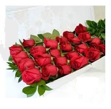 Envio y venta de flores ,rosas, plantas,arreglos florales ,regalos y desayunos a domicilio con delivery gratis en la Ciudad Autonoma de Buenos Aires y con costo de env�o en localidades del Gran Buenos Aires asi como delivery de flores y plantas a trav�s de florerias asociadas en todas las provincias de la Argentina, Buenos Aires, la Pampa, Tucuman, La Rioja, R�o Negro, Entre Rios, Corrientes, Misiones, Neuquen, Chubut, Tierra del Fuego, Santa Cruz, San Luis, Mendoza, Cordoba, Jujuy, Formosa, Santiago del Estero, Salta, Chaco, Catamarca ,San Juan, y ademas realizamos el delivery de flores ,coronas,palmas , plantas y regalos a todas las ciudades de Argentina, Mar del Plata, C�rdoba, Buenos Aires, con cargo en Santa Rosa, La Plata, Bella Vista, Neuquen, Pilar, Paran�, Posadas, Resistencia, Cipolleti y mas de 300 ciudades y localidades en todo el territorio de nuestro pa�s, asi como tambien tenemos la posibilidad de enviar flores a casi todo el mundo en cuestion de horas